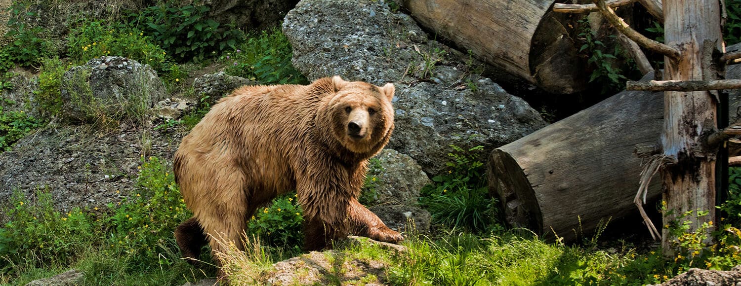 Zoo Salzburg - Ausflugsziele im Salzburger Land